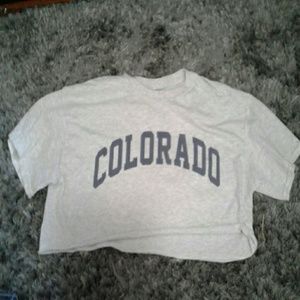 Brandy melville cropped grey Colorado tee